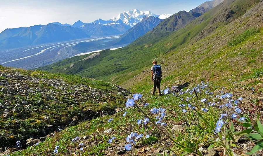 Exploring Wrangell-St. Elias through hiking is highly recommended