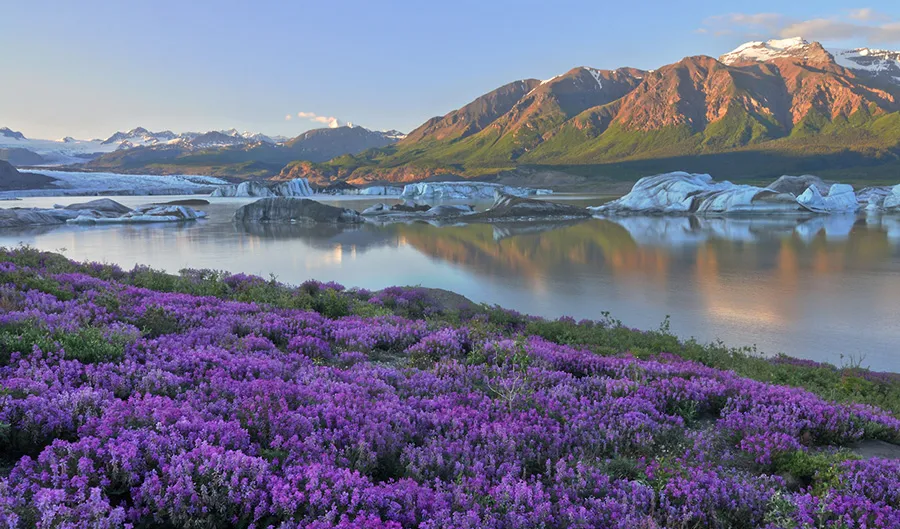 Wrangell–St Elias National Park and Preserve is a large protected area in south central Alaska
