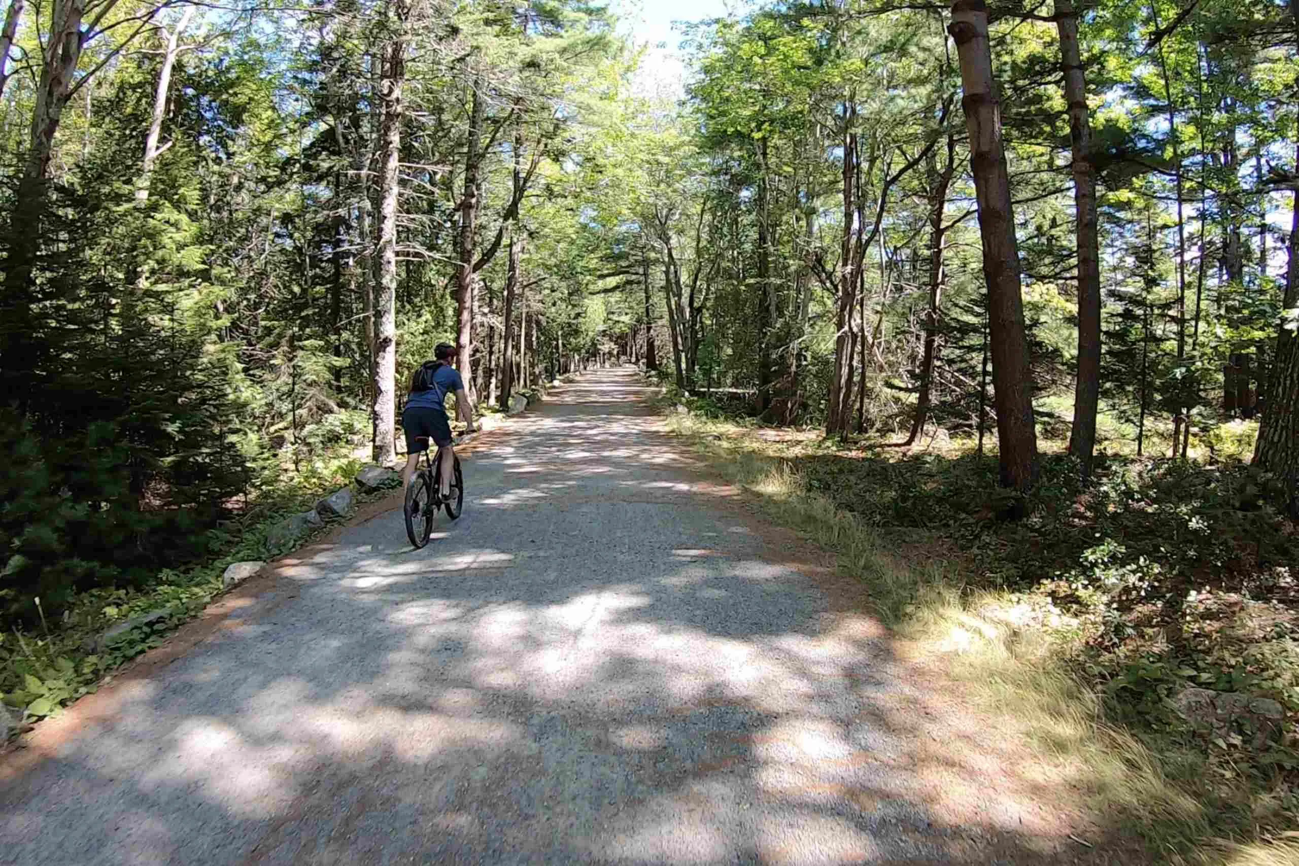acadia national park bike rental
