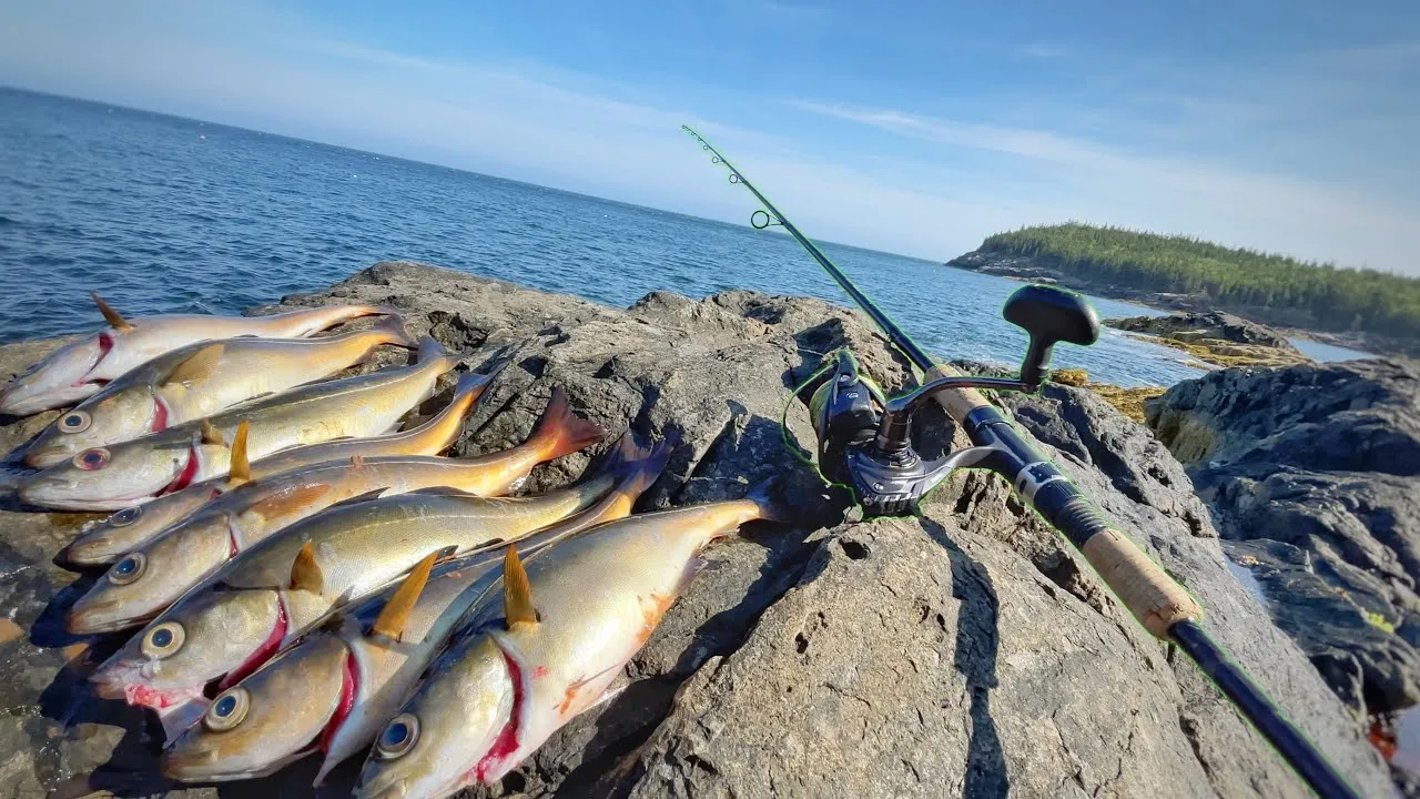 acadia national park fishing