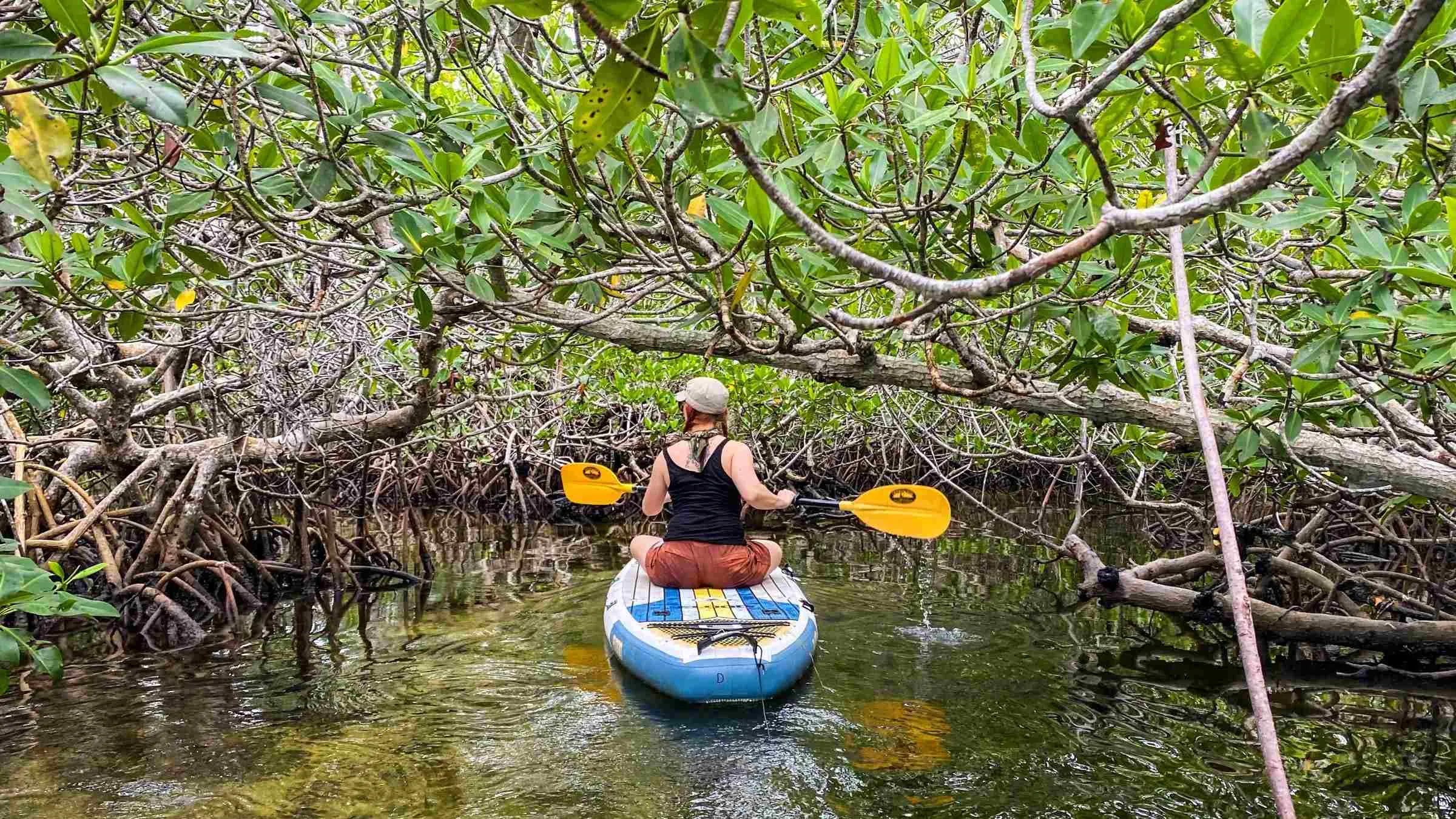 best time to visit biscayne national park