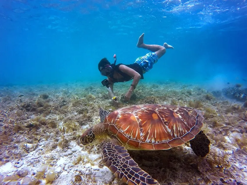 best time to visit biscayne national park