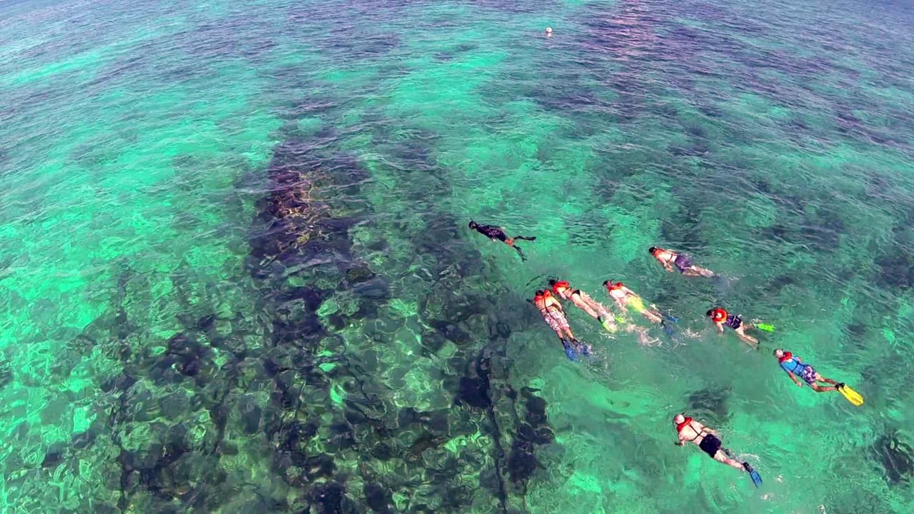 biscayne national park snorkeling