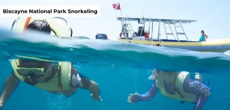 biscayne national park snorkeling