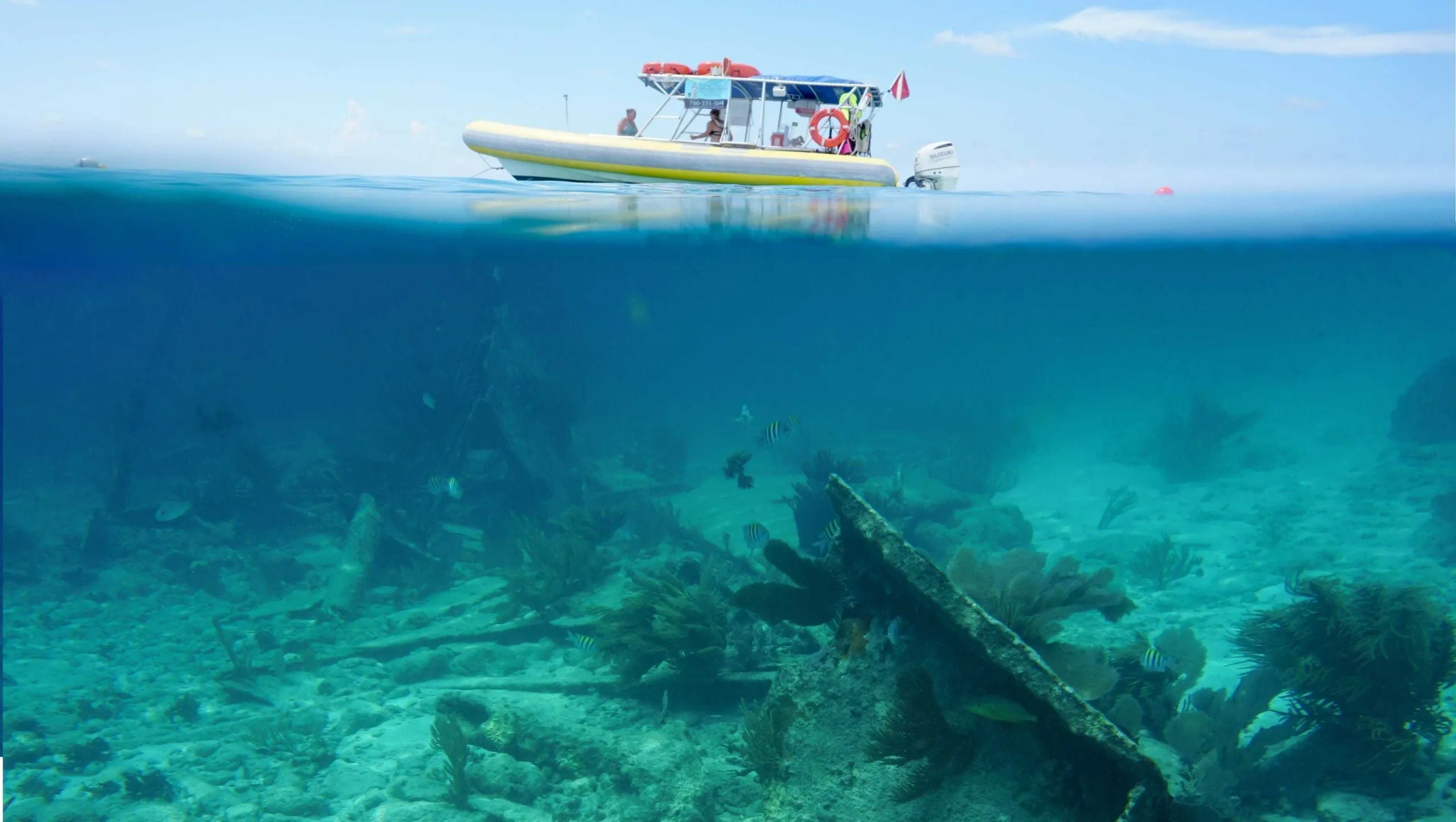 biscayne national park snorkeling