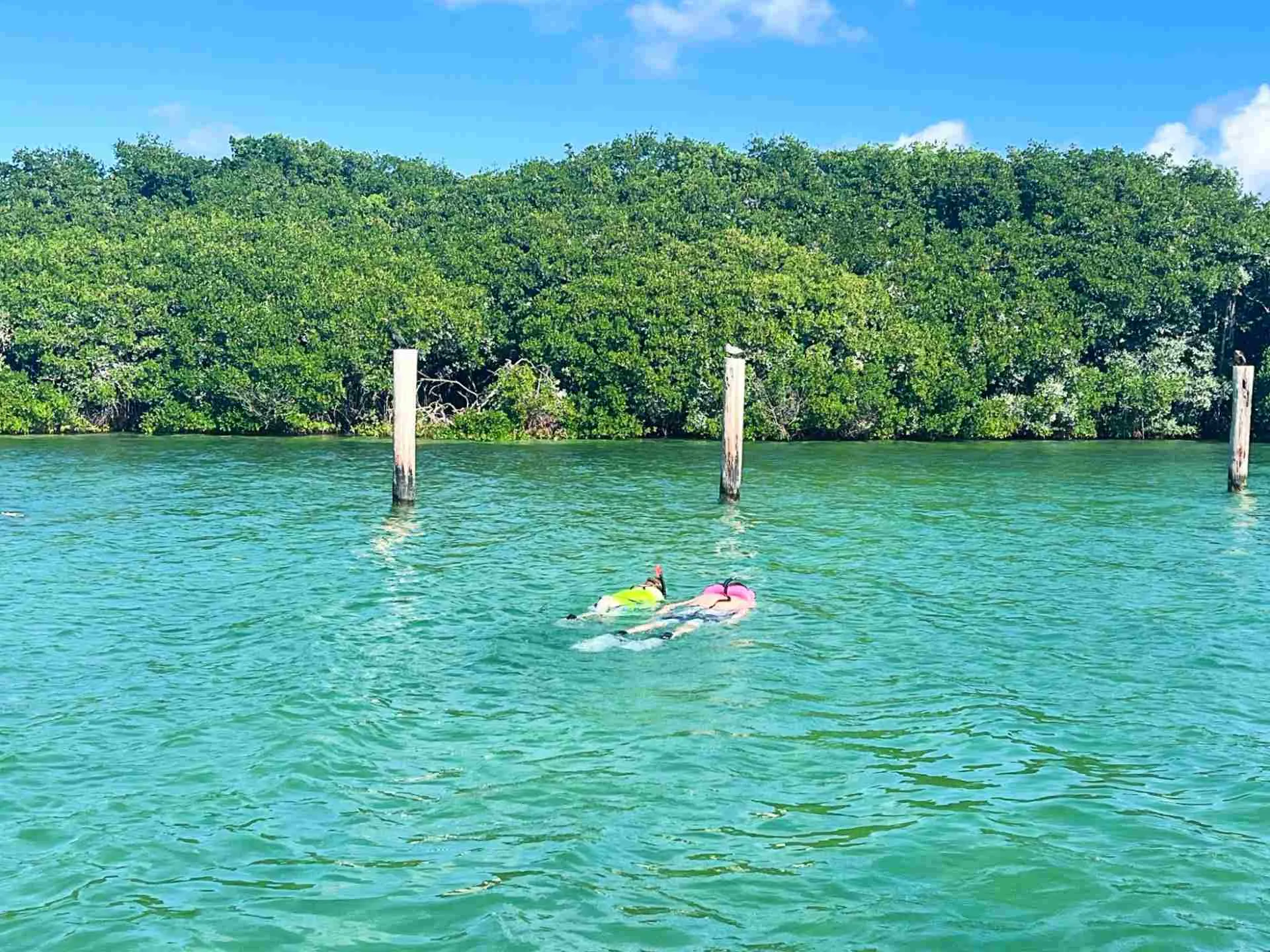 biscayne national park weather