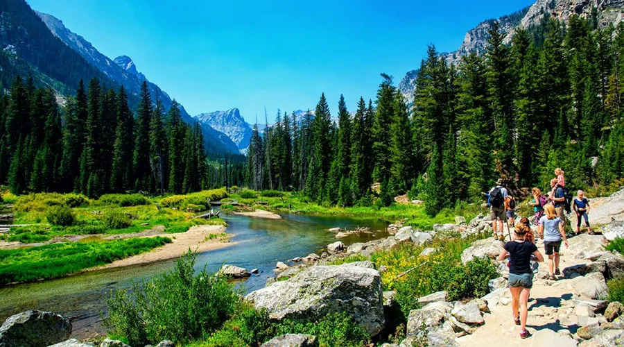 Grand Teton National Park features a diverse ecosystem across 310,000 acres