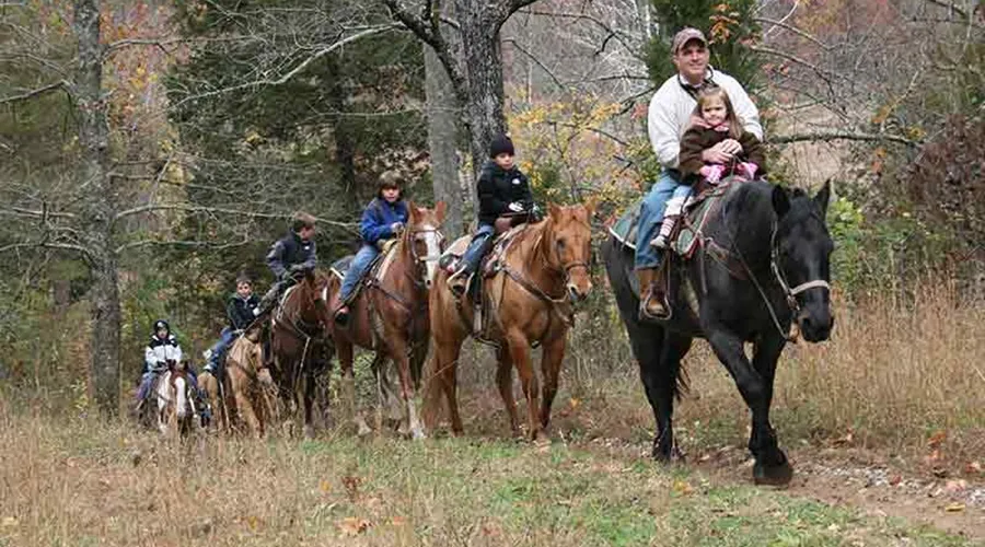You can enjoy guided horseback rides at three concession riding stables within the park