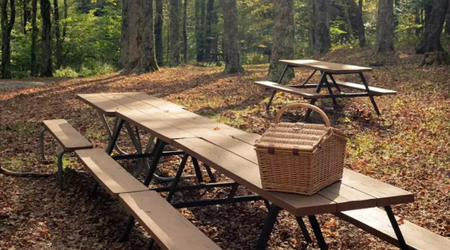 Picnic areas are available at several locations in Great Smoky Mountains National Park