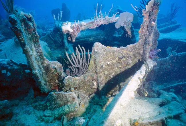 biscayne national park coral reefs