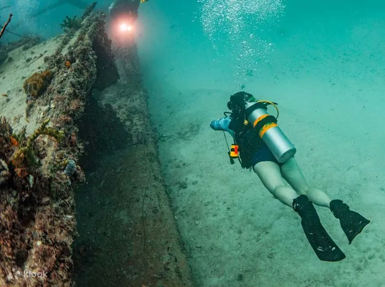 biscayne national park coral reefs