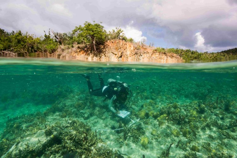 biscayne national park coral reefs