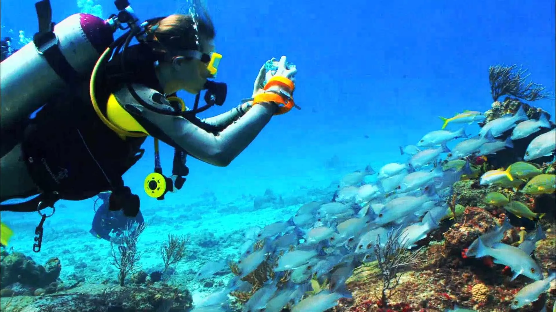 biscayne national park diving