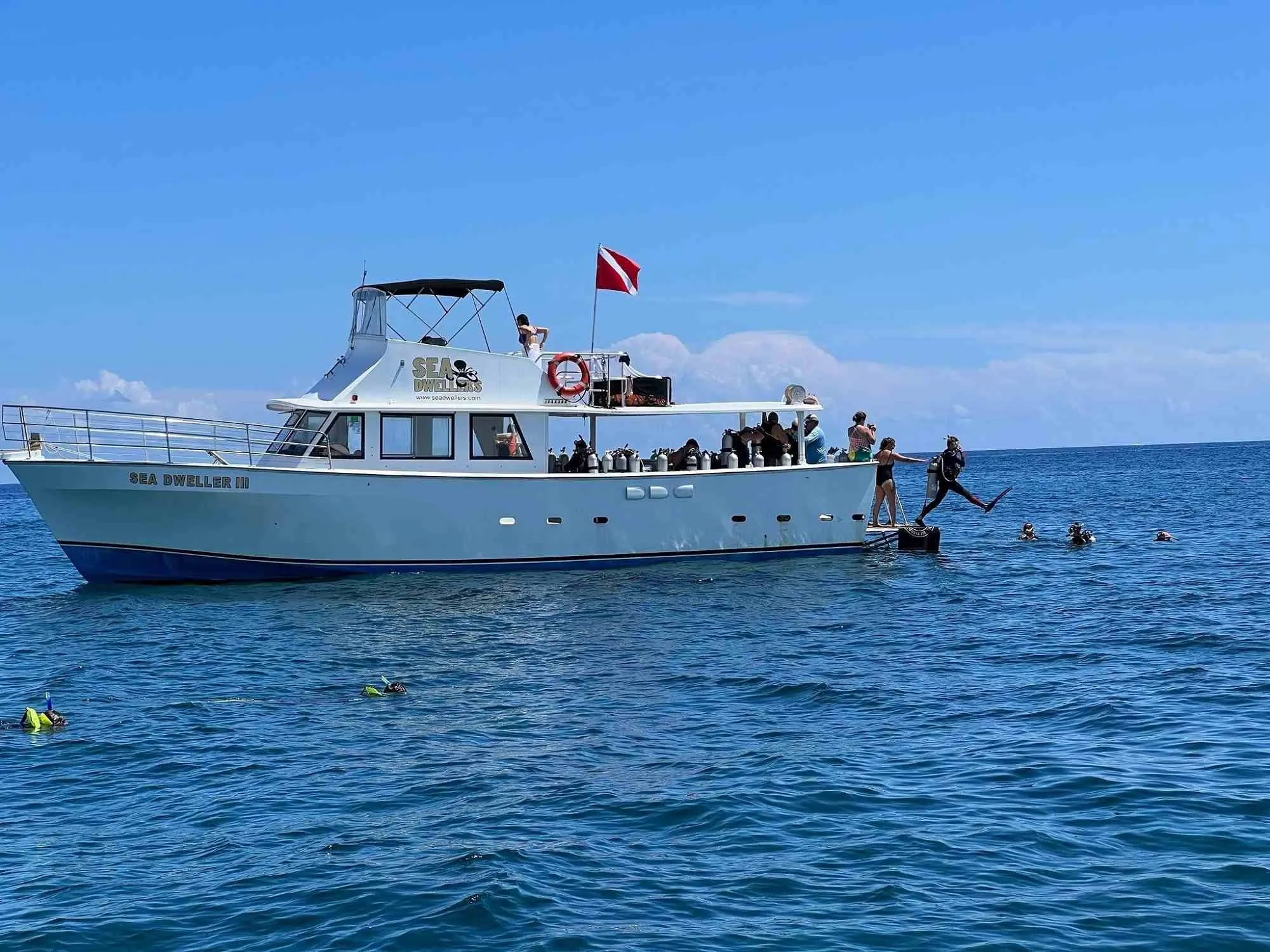 biscayne national park diving