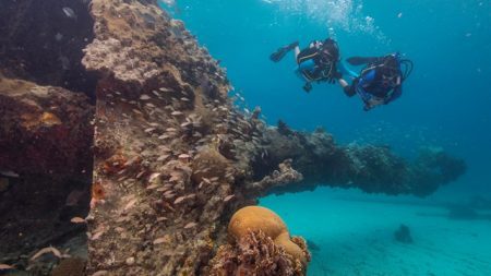 biscayne national park diving