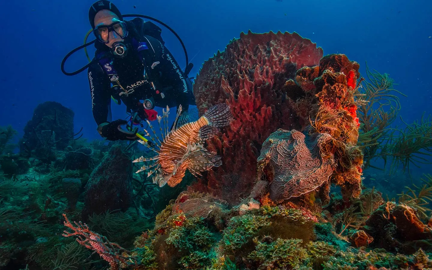 biscayne national park diving