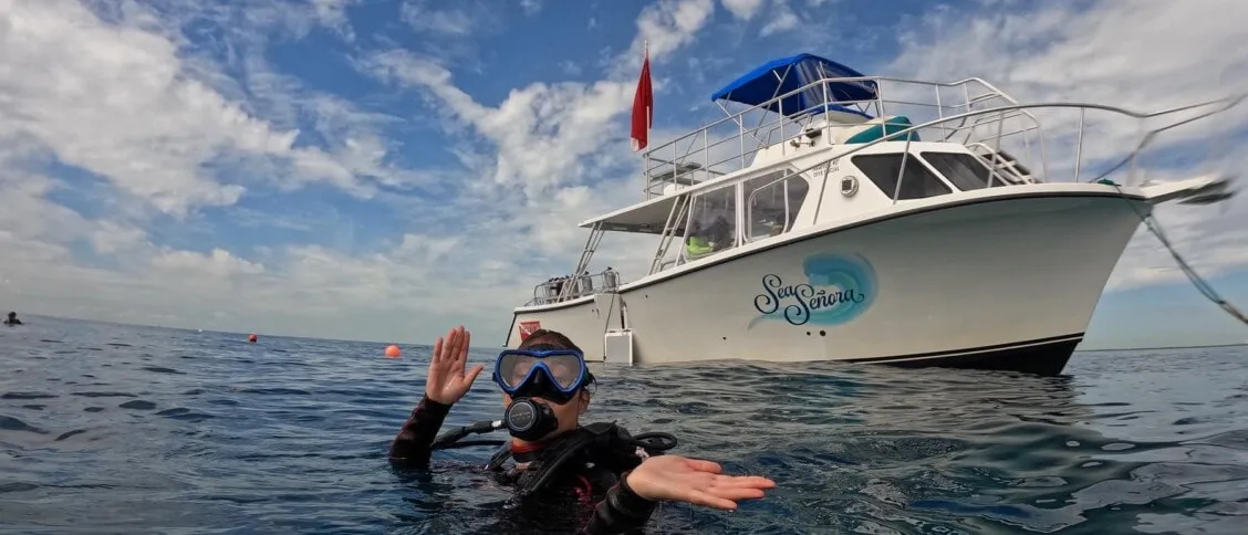 biscayne national park diving