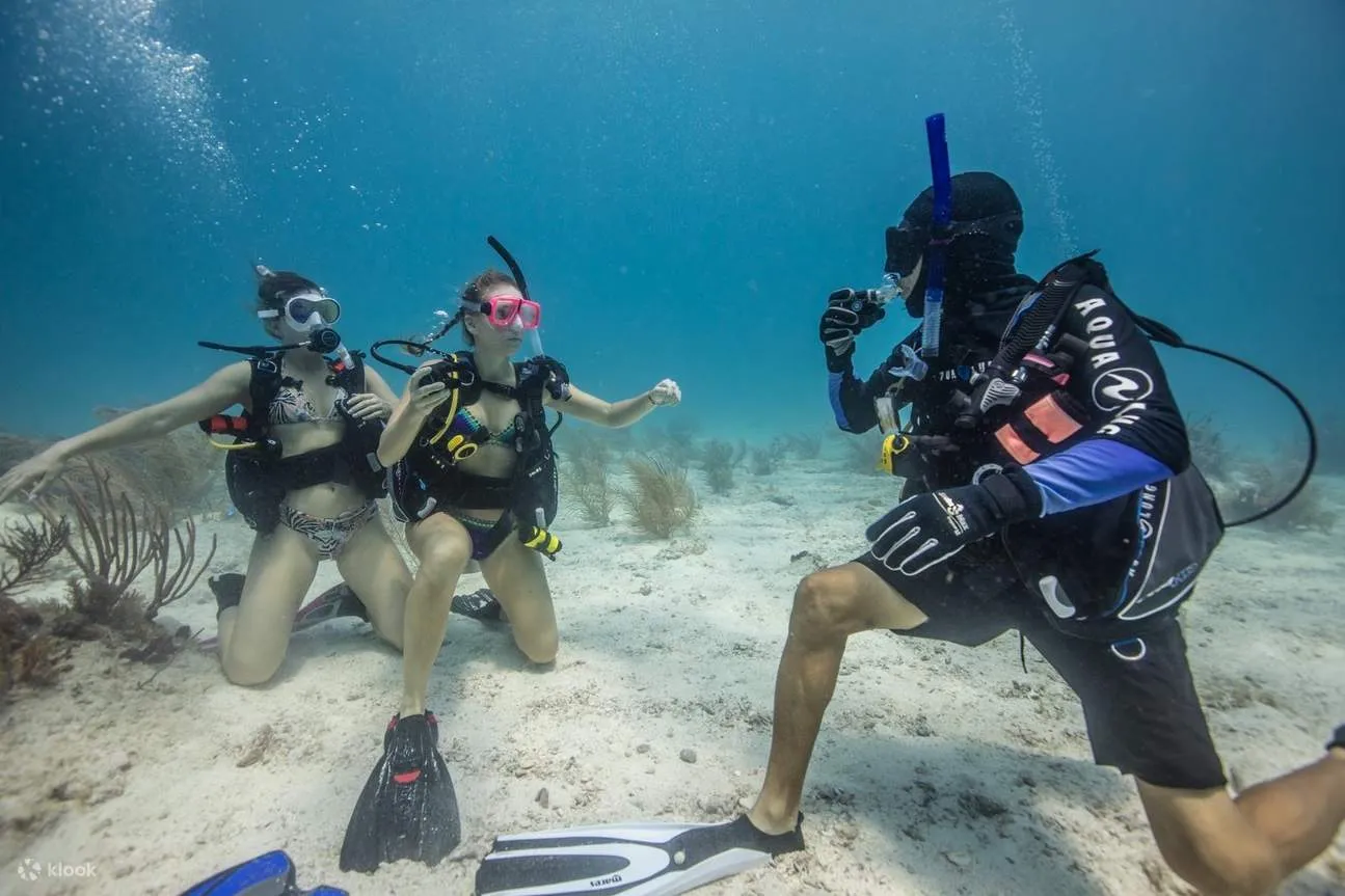 biscayne national park diving