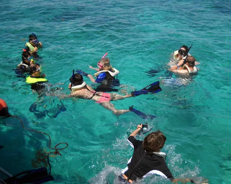 biscayne national park diving