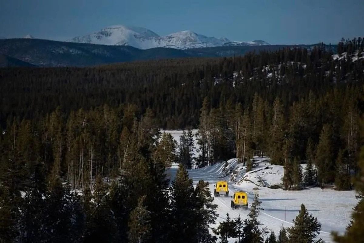 bozeman to yellowstone national park