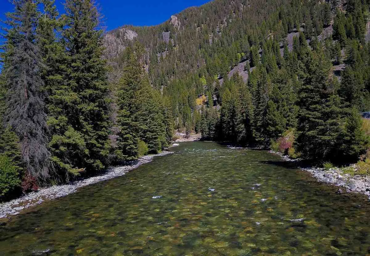 bozeman to yellowstone national park