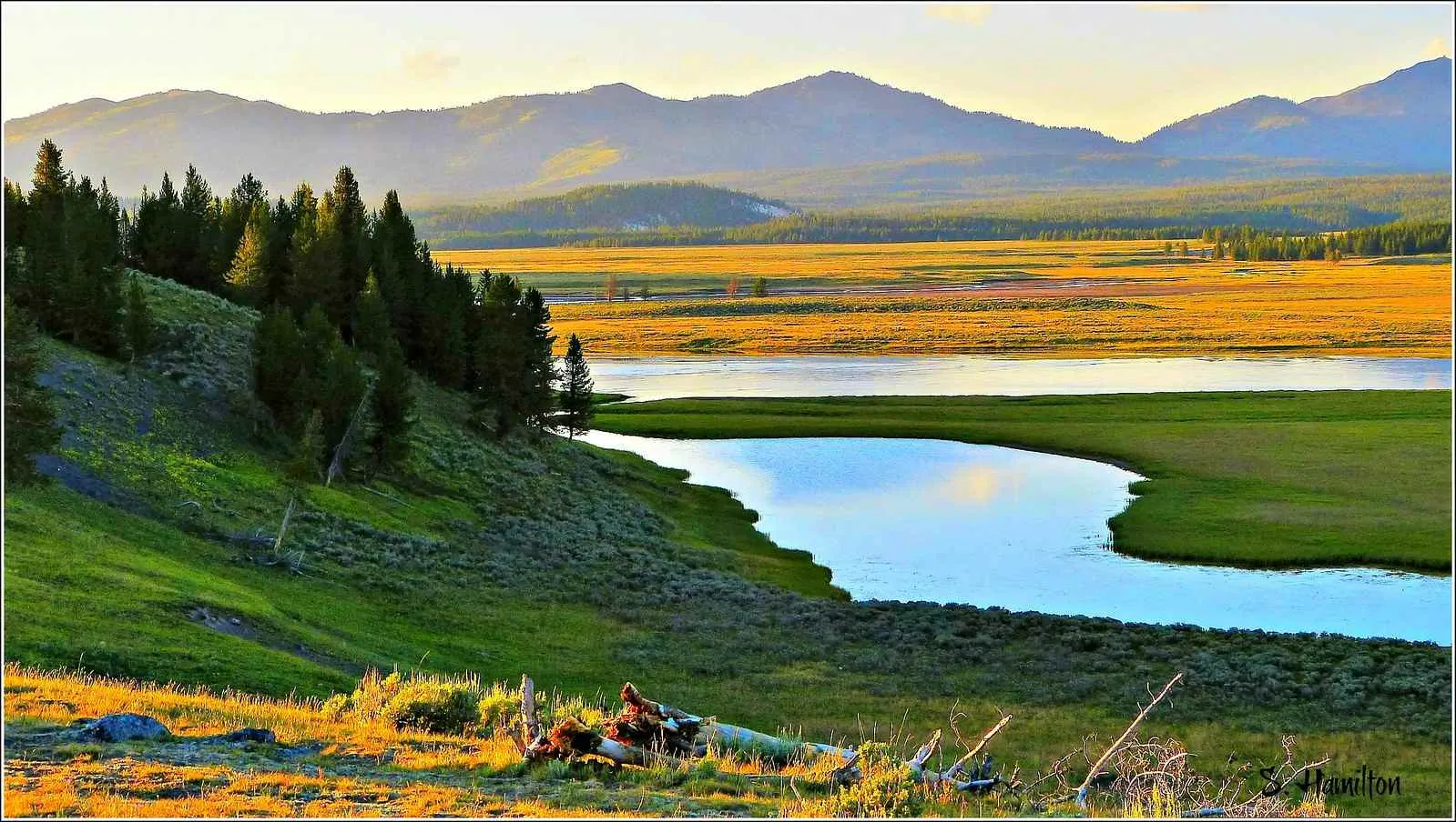 how many days need for yellowstone national park
