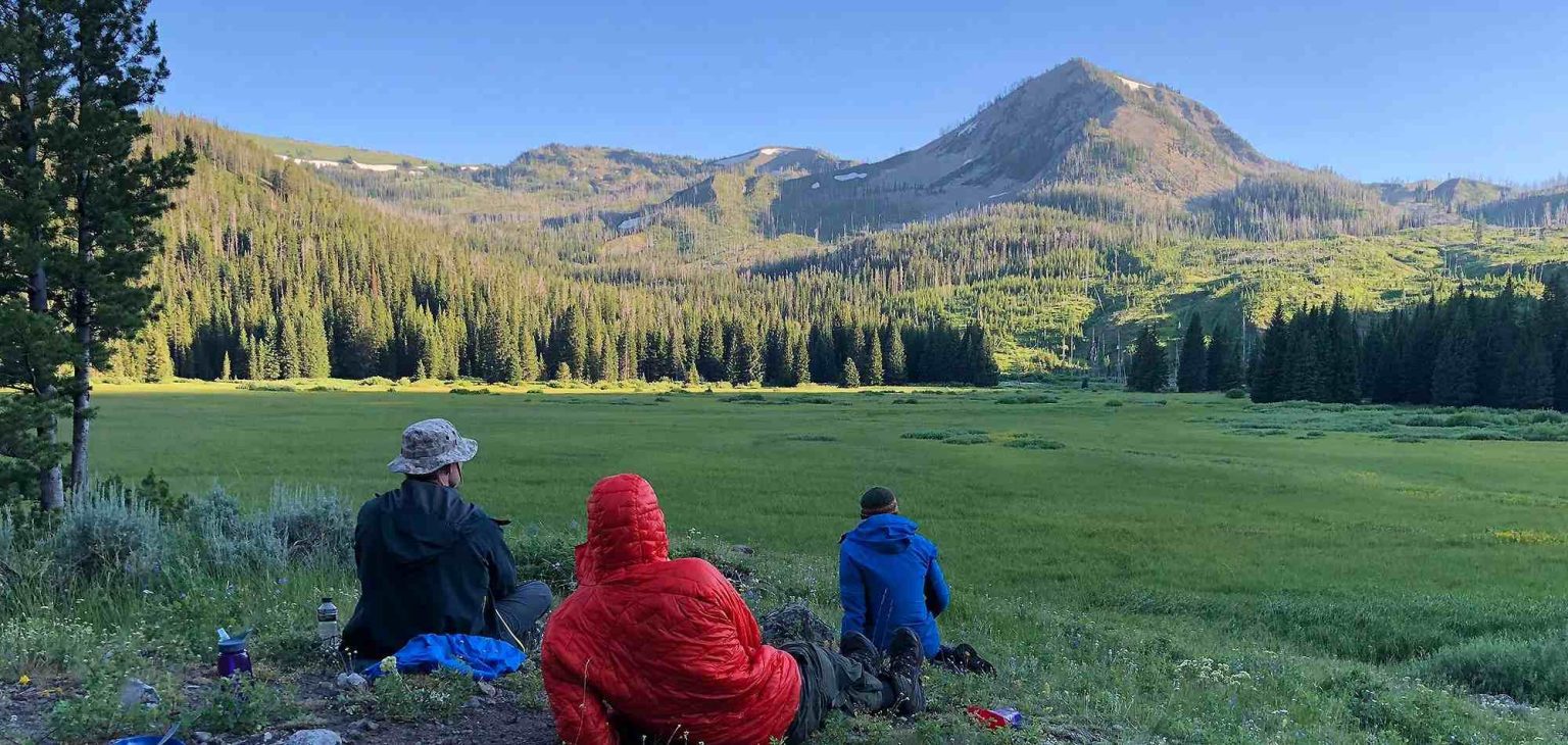 how many days need for yellowstone national park