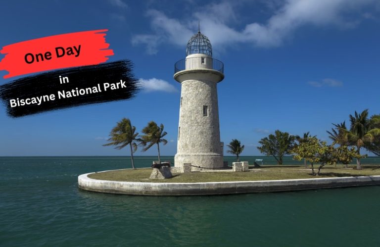 one day in biscayne national park