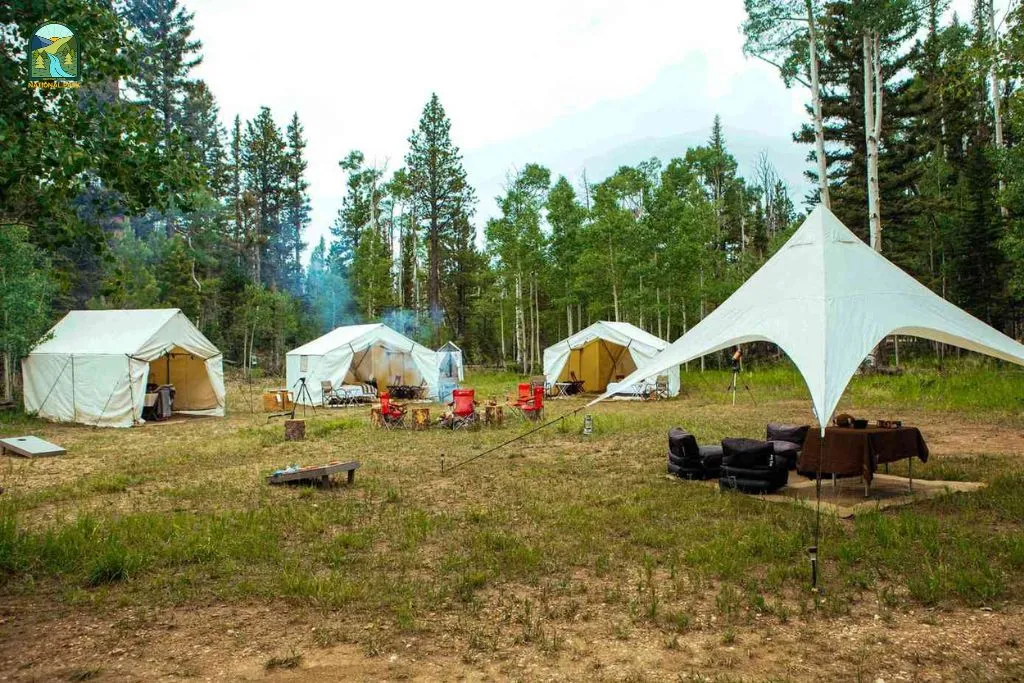 things to do in yellowstone national park