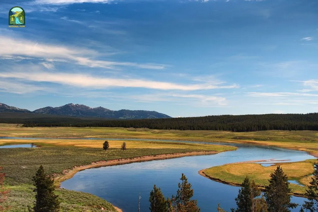 things to do in yellowstone national park