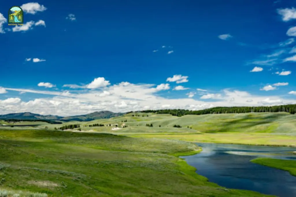 things to do in yellowstone national park