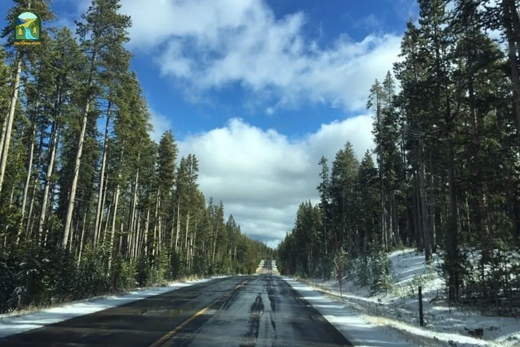 things to do in yellowstone national park