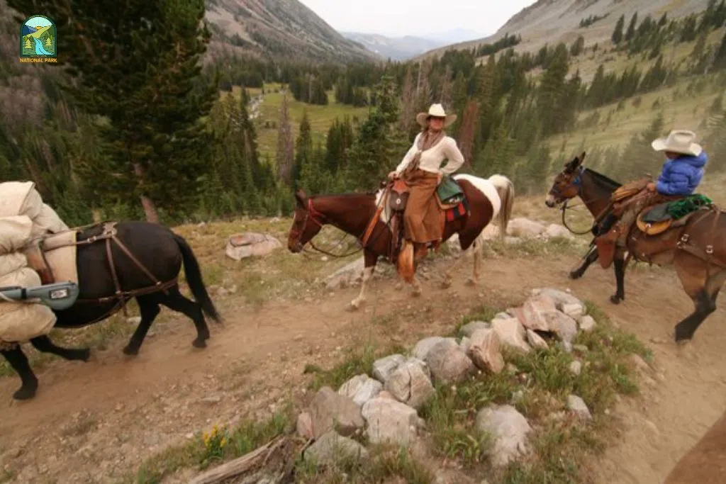things to do in yellowstone national park