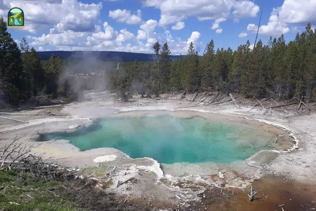 things to do in yellowstone national park