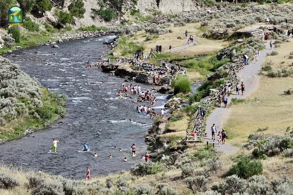 things to do in yellowstone national park