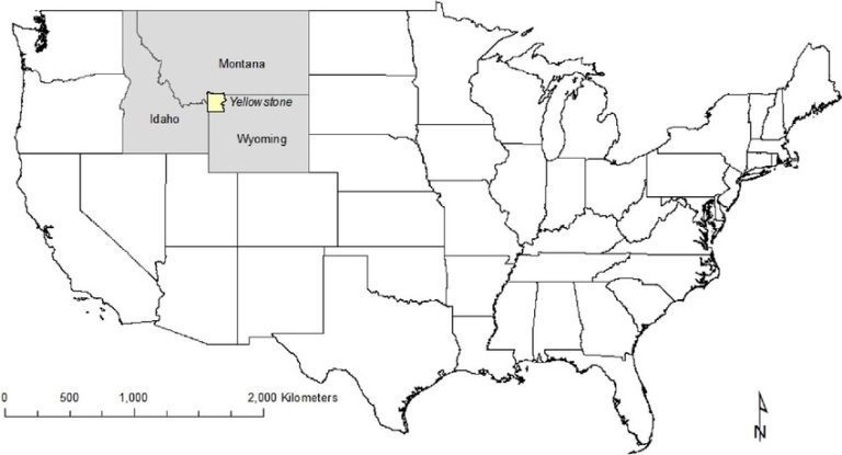 what state is yellowstone national park in