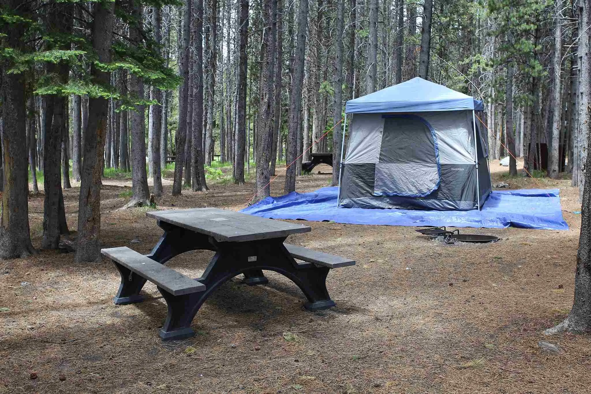 yellowstone national park camping
