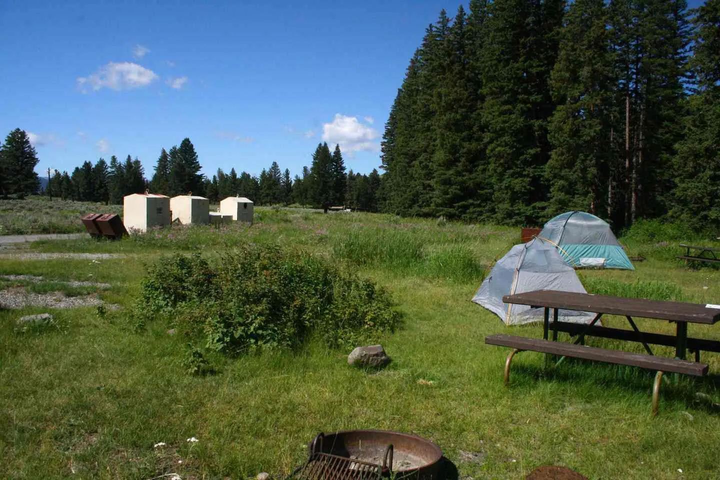 yellowstone national park camping