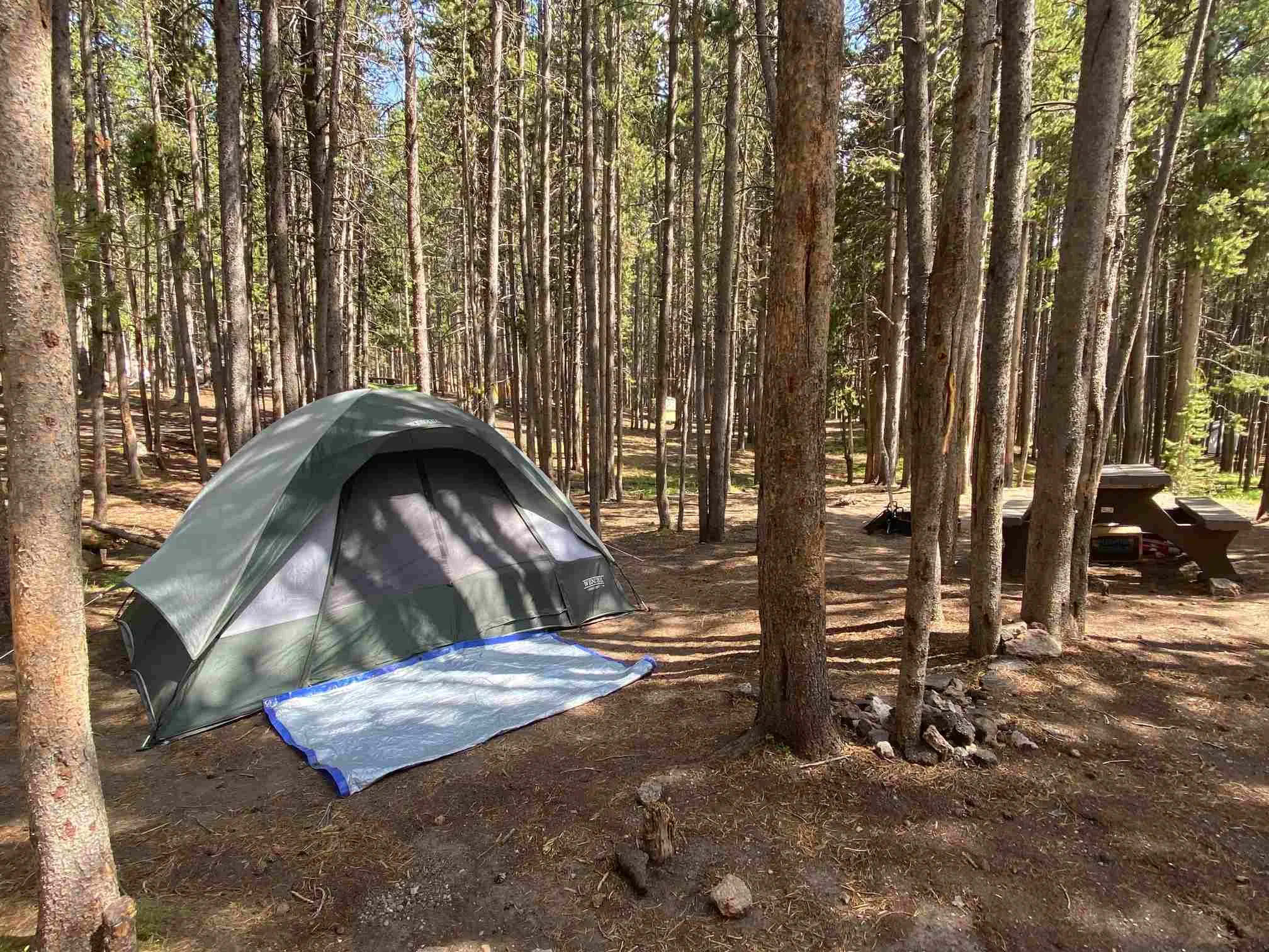 yellowstone national park camping