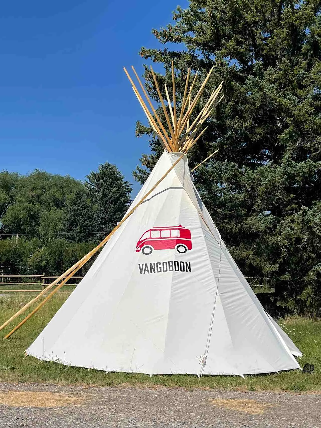 yellowstone national park camping