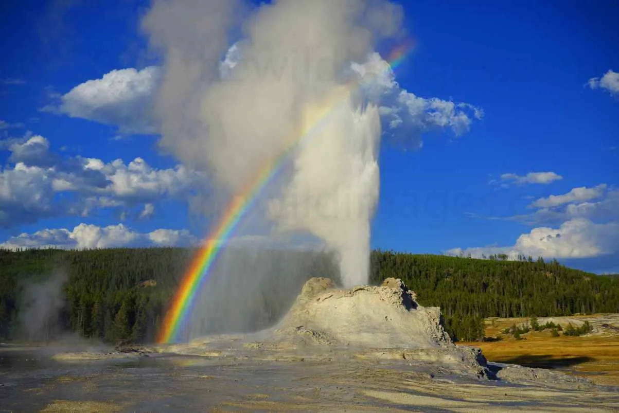 yellowstone national park geysers