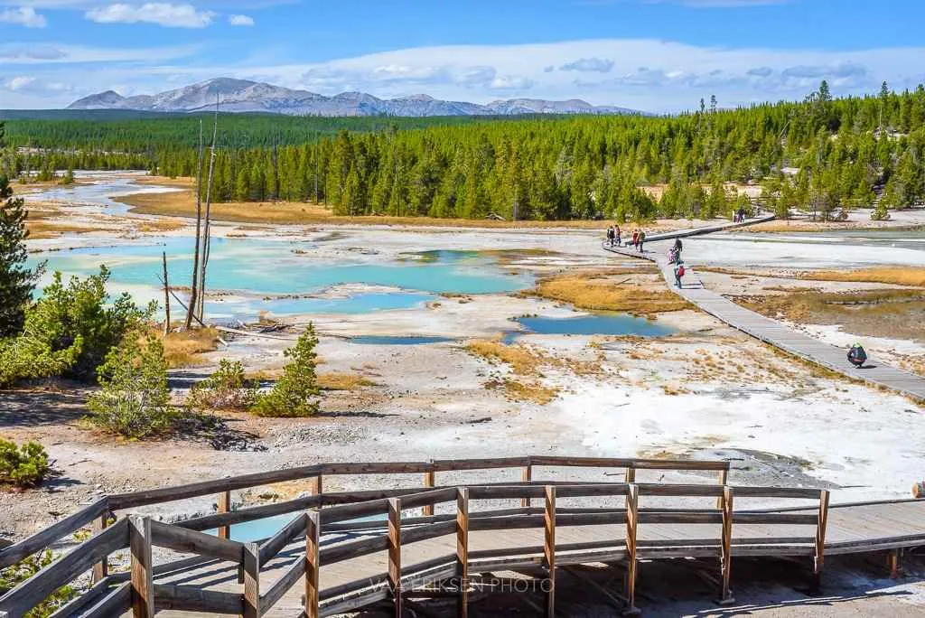 yellowstone national park geysers
