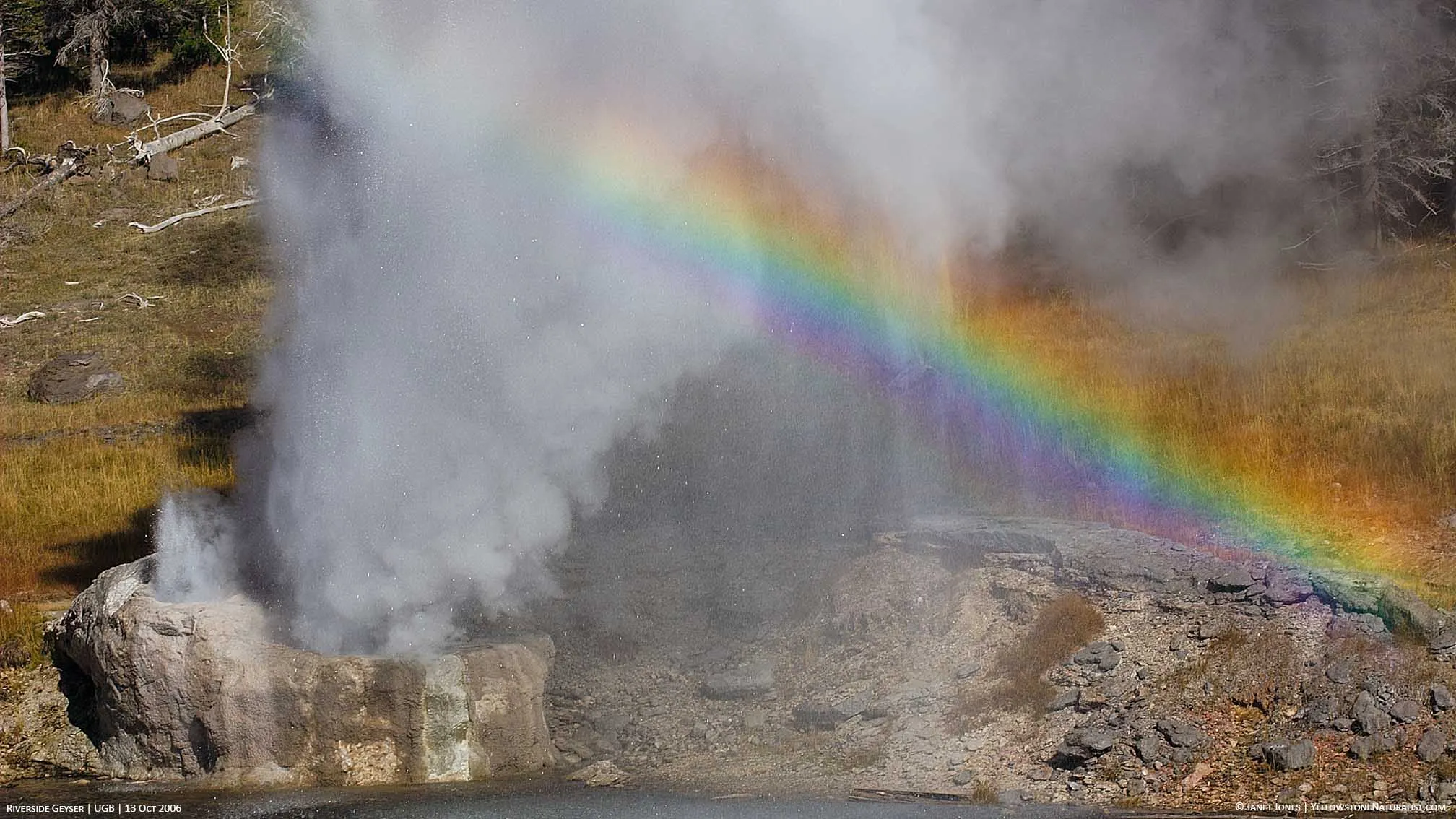 yellowstone national park geysers