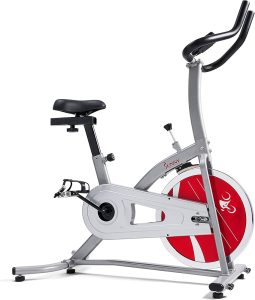 The 7 Best Exercise Bikes of 2024 for Home Workouts