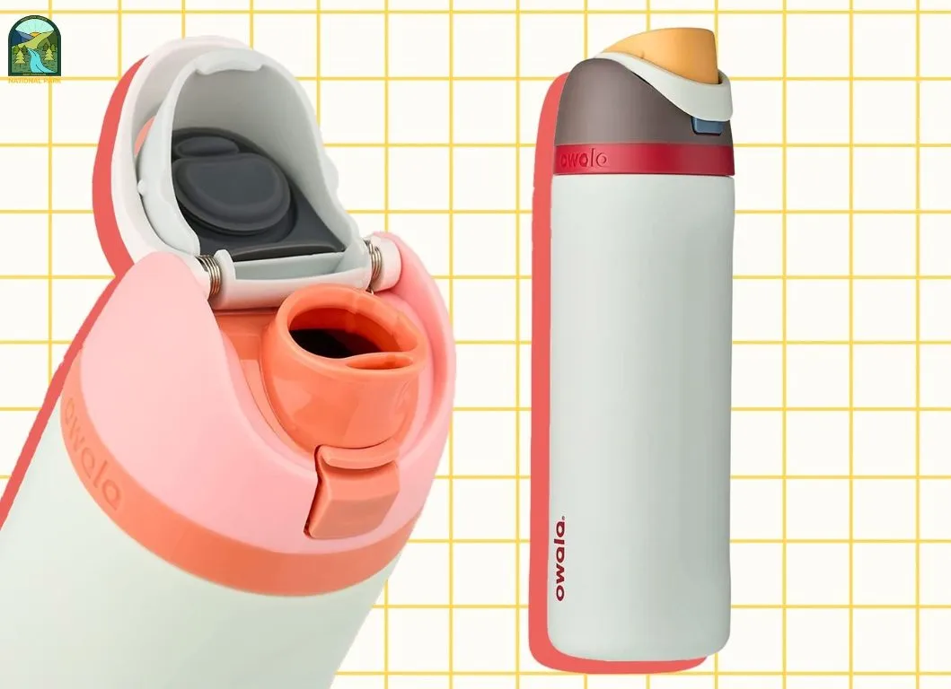 Best Cute Water Bottles to Keep Hydrated