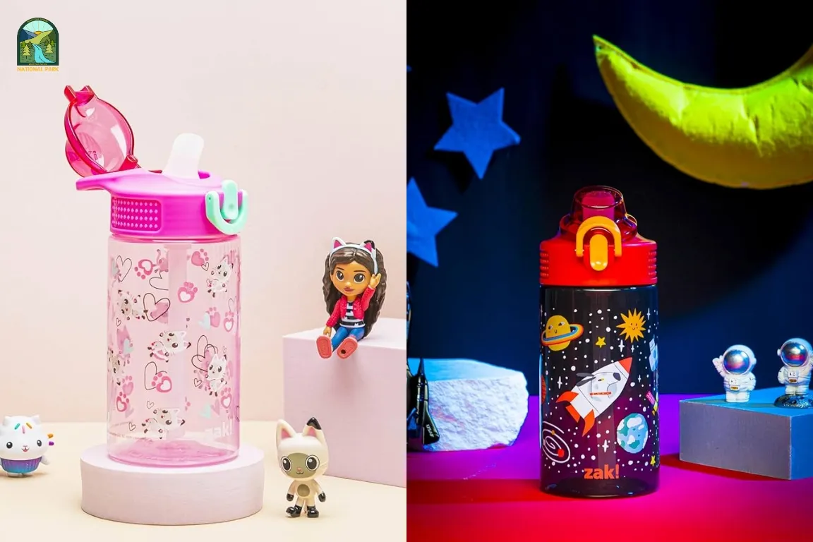 Best Cute Water Bottles to Keep Hydrated