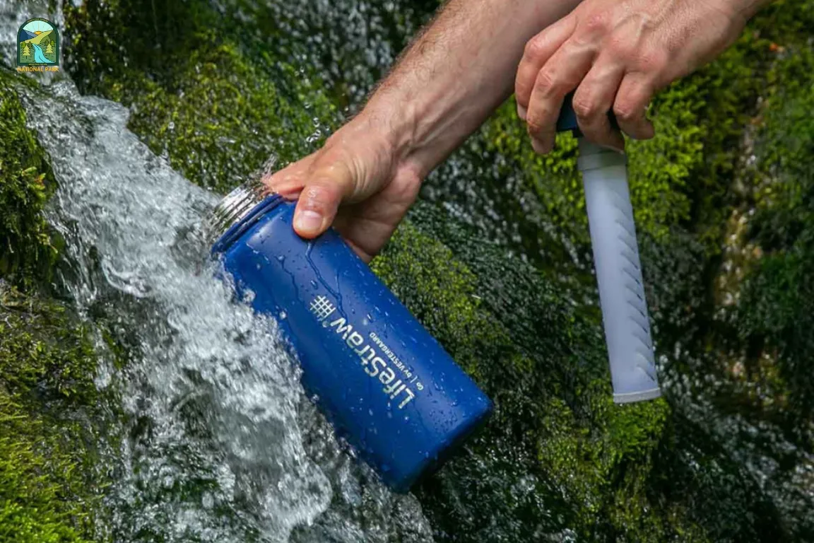 Best Cute Water Bottles to Keep Hydrated