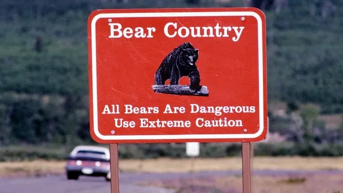 glacier national park bear attacks