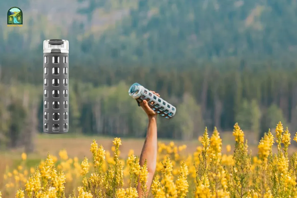 glass water bottle