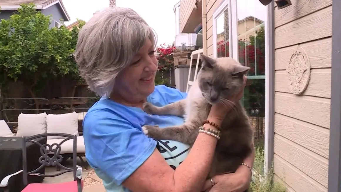 a pet cat got lost in Yellowstone